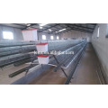 hot sale uganda poultry farm automatic chicken layer cage